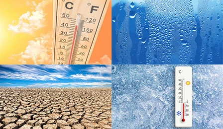 การจำลองสภาพแวดล้อมที่ถูกต้อง