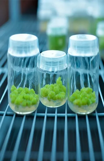 ห้องทดสอบด้านสิ่งแวดล้อมสำหรับชีววิทยา